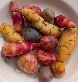 Kartoffeln auf Teller